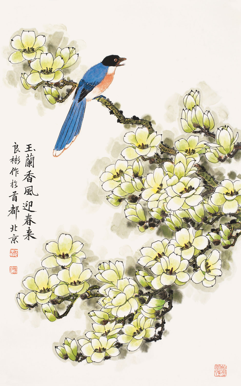 玉兰香风迎春来