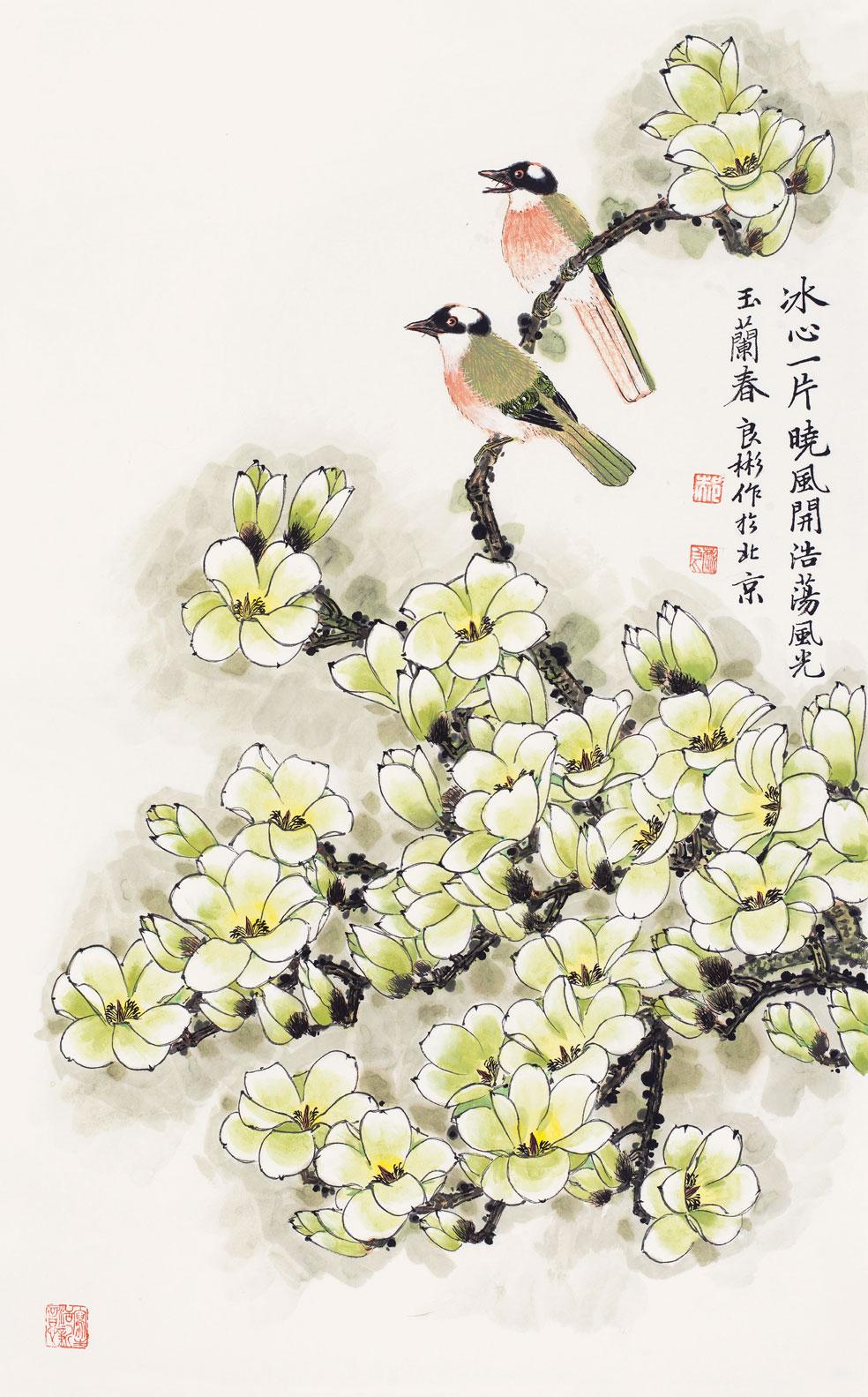 冰心一片晓风开（玉兰白头鸟图）