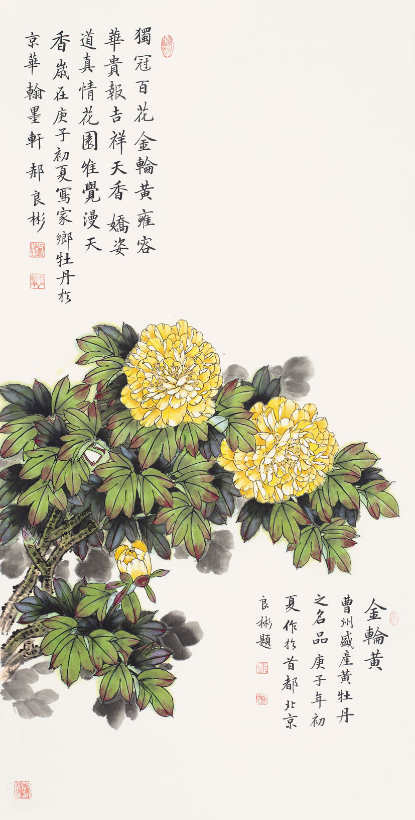 独冠百花金轮黄