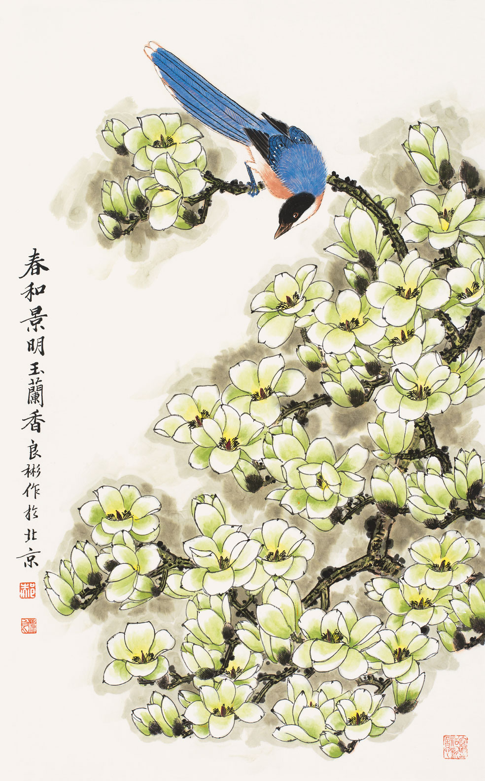 春和景明玉兰香