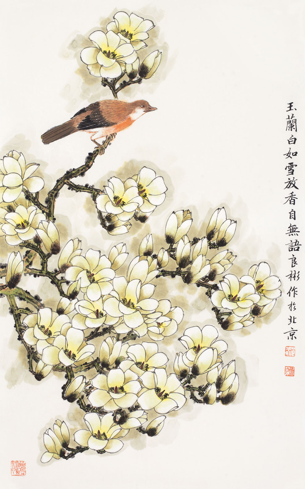 玉兰白如雪