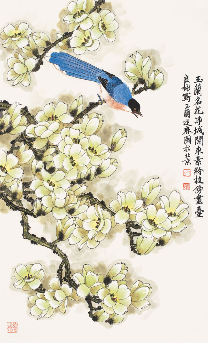 玉兰名花净域开