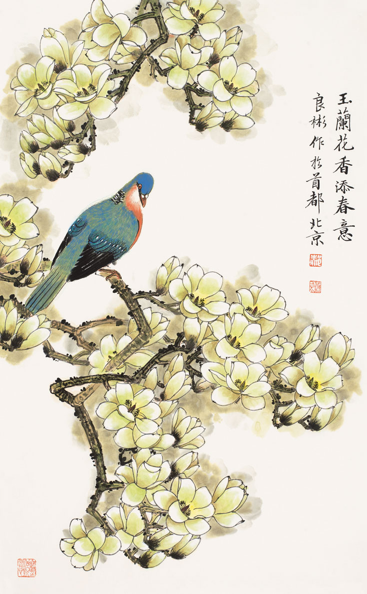 玉兰花香添春意