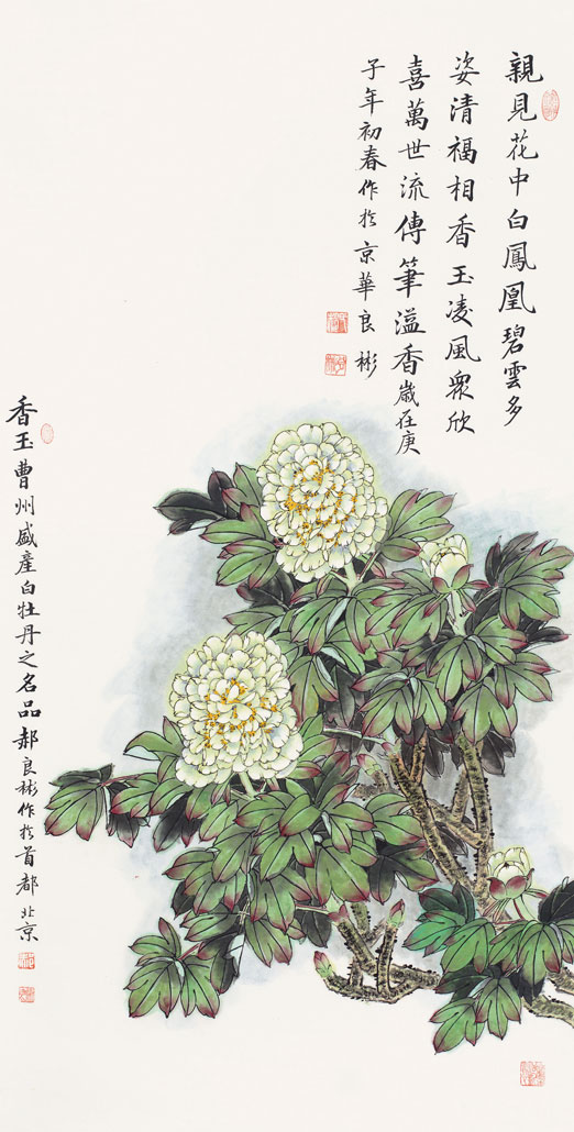 亲见花中白凤凰（香玉白牡丹）