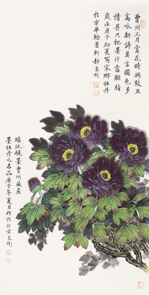 只把墨汁当胭脂（瑶池墨牡丹）