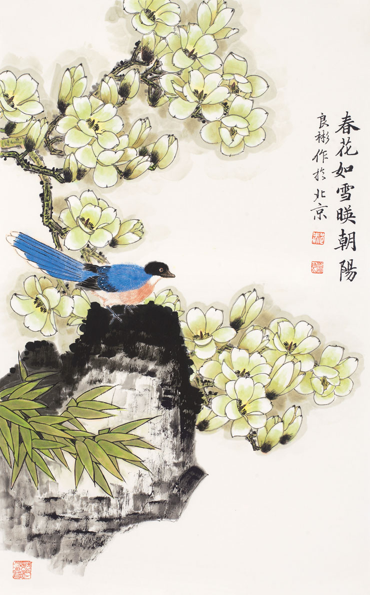 春花如雪映朝阳