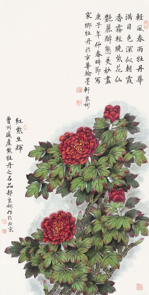 轻风春雨牡丹华（红然生辉红牡丹）