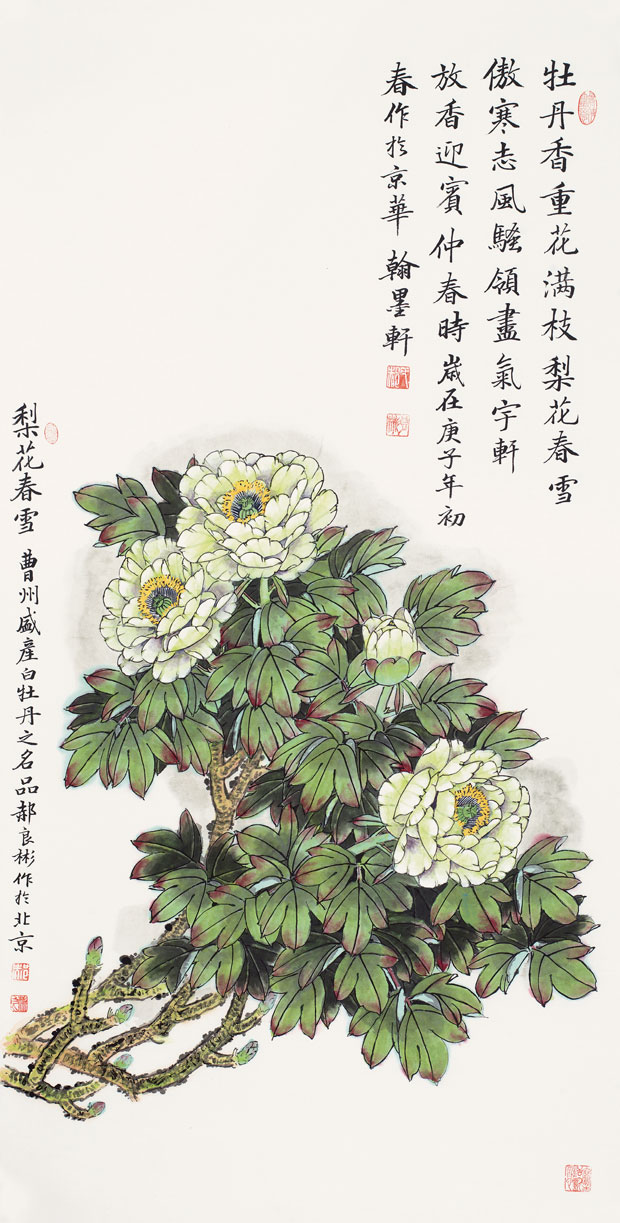 牡丹香重花满枝（梨花春雪白牡丹）