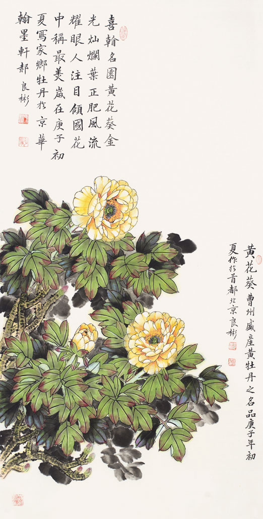 金光灿烂叶正肥