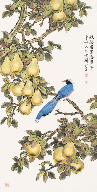 秋梨累累喜丰年