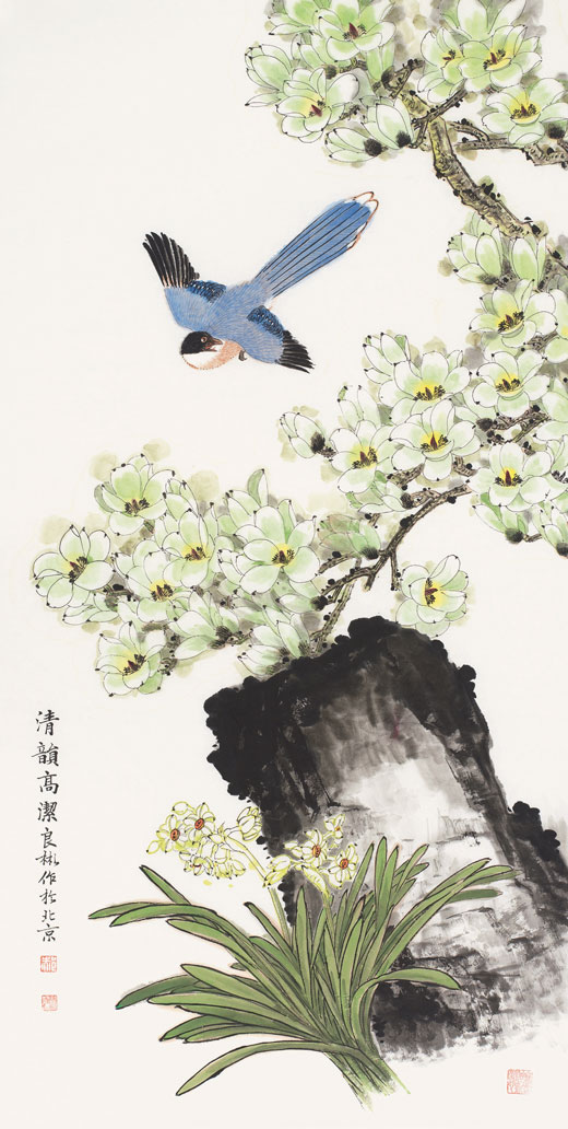 迎春玉兰洁如雪
