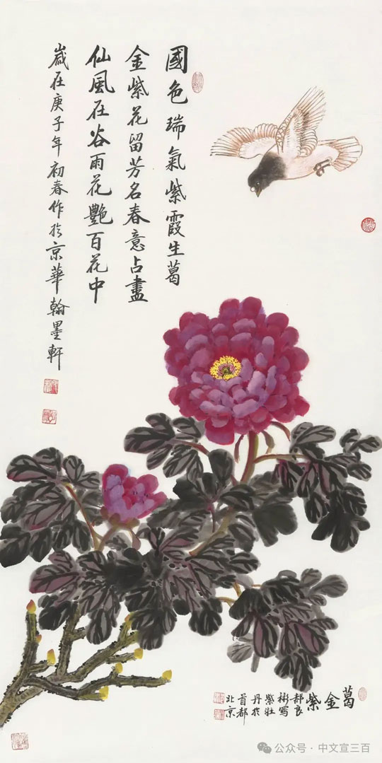 花鸟画12