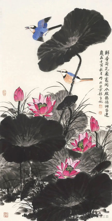 花鸟画6