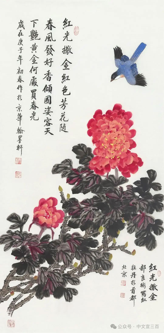 花鸟画11