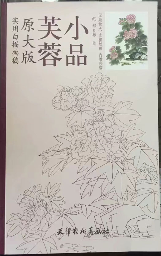 芙蓉小品白描画稿